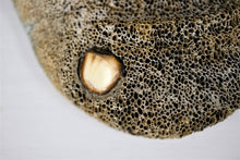 Load image into Gallery viewer, Whale Bone Masks