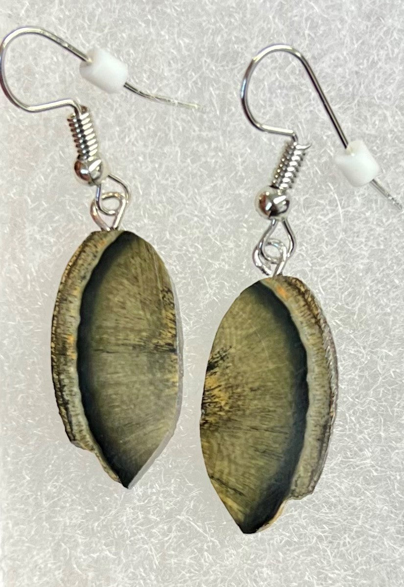 Mammoth Ivory Earrings