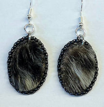 Load image into Gallery viewer, Seal Earrings
