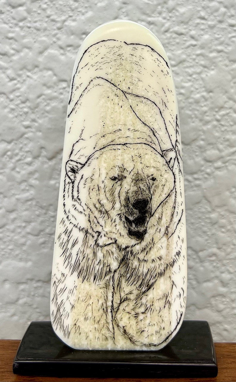 Polar bear Etching