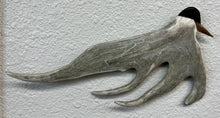 Load image into Gallery viewer, Antler &amp; Baleen Carving
