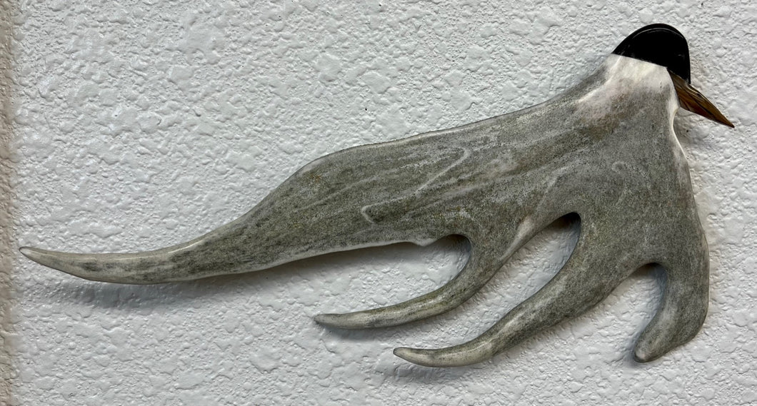 Antler & Baleen Carving