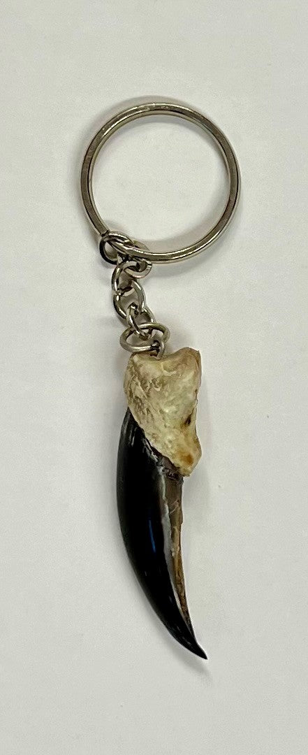 Seal Claw Key chain