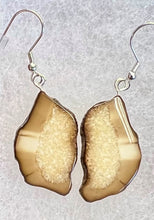 Load image into Gallery viewer, Ivory Earrings
