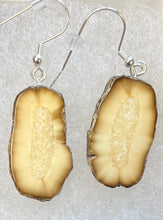 Load image into Gallery viewer, Ivory Earrings
