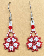 Load image into Gallery viewer, Beaded Earrings
