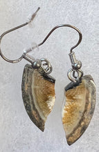 Load image into Gallery viewer, Mammoth Ivory Earrings
