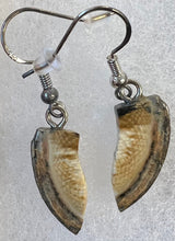 Load image into Gallery viewer, Mammoth Ivory Earrings
