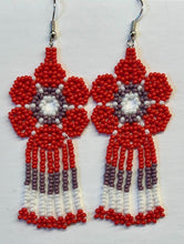 Load image into Gallery viewer, Earrings
