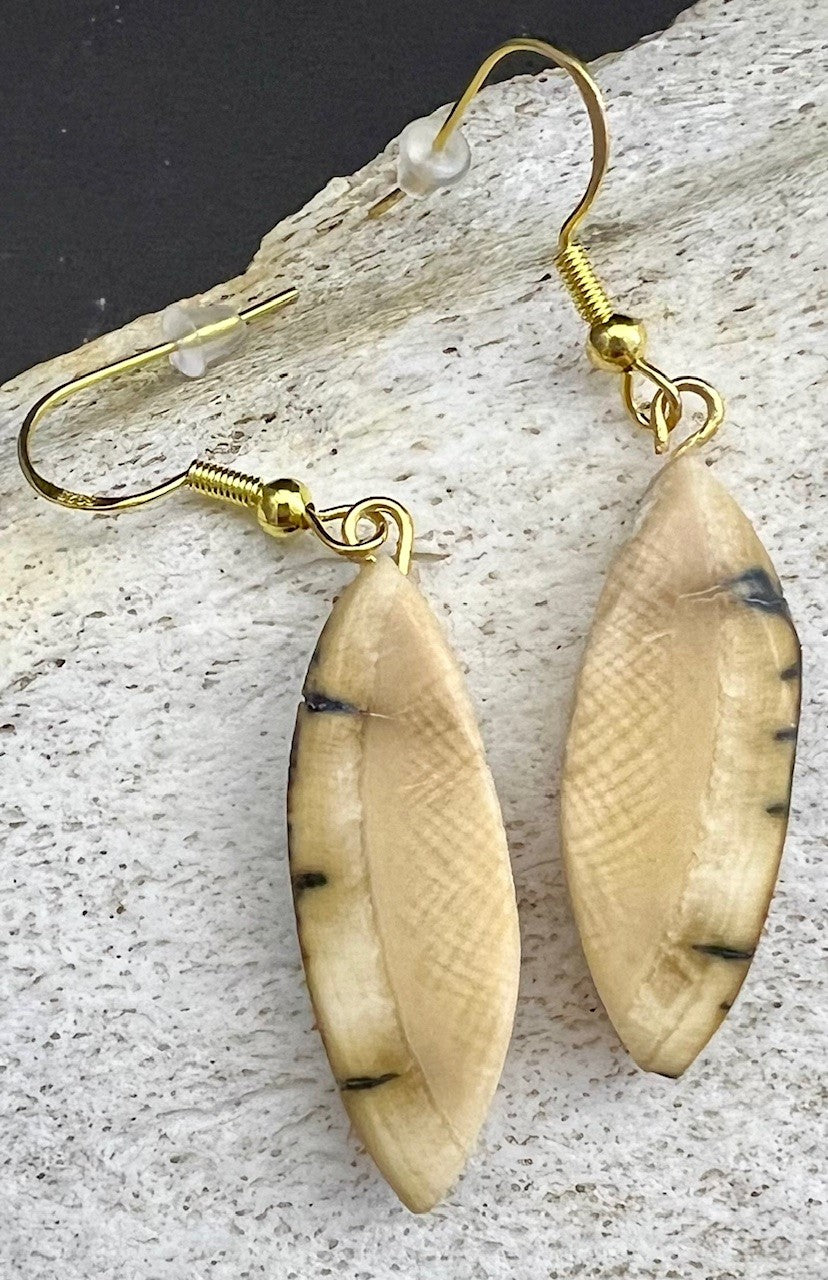 Ivory  Earrings