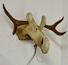 Load image into Gallery viewer, Carving of Moose Head
