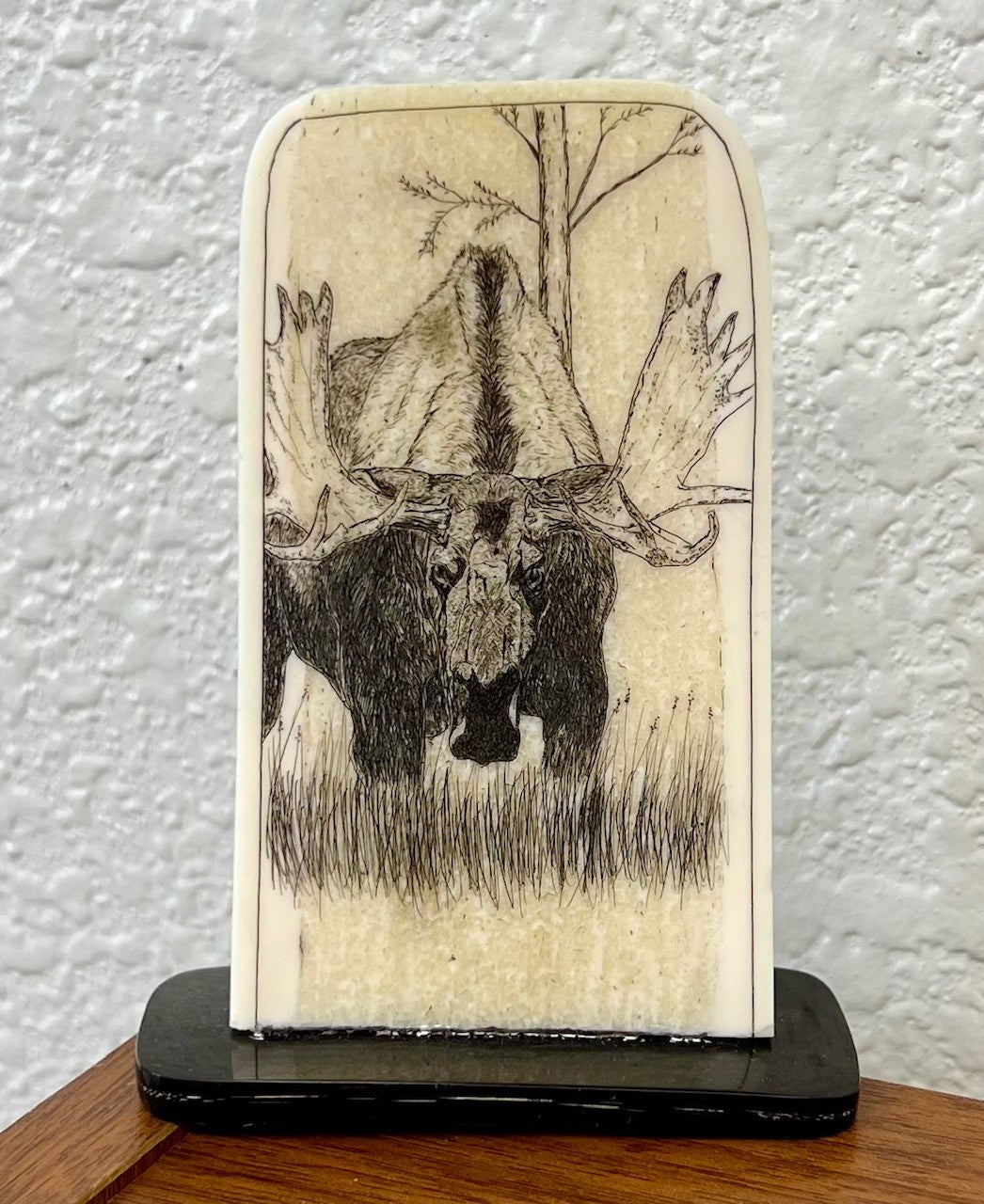 Ivory Moose Etching