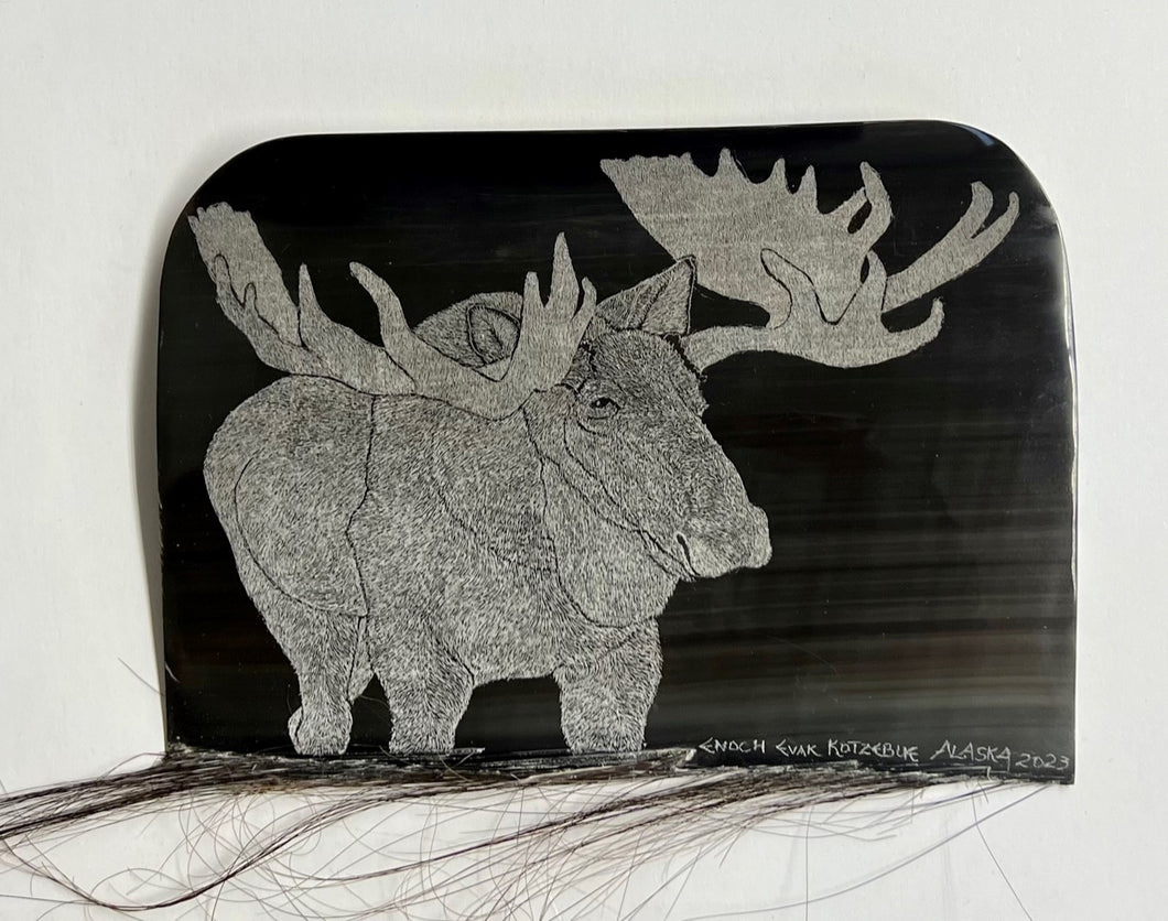 Moose etching