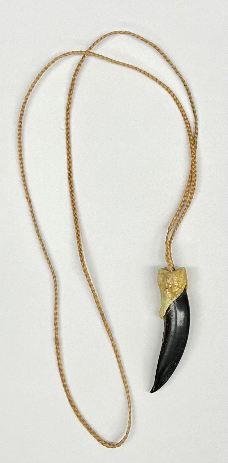 Seal Claw Necklace
