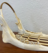 Load image into Gallery viewer, Caribou jaw sled
