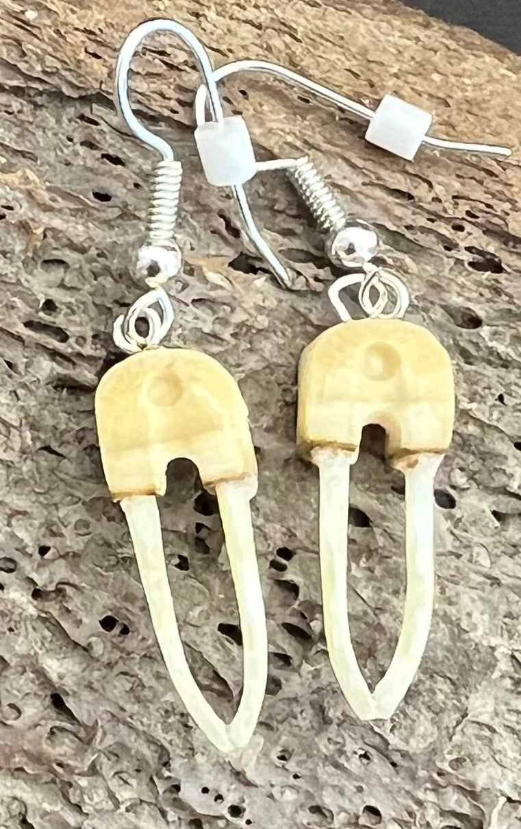 Ivory Walrus Earrings