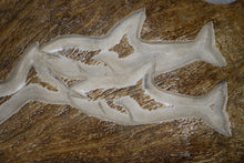 Load image into Gallery viewer, Moose Antler Carving Killer Whales
